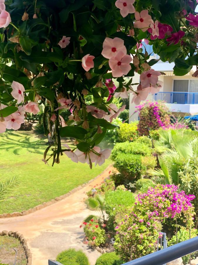 Paradise Gardens With A Large Terrace Paphos Exterior photo
